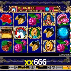 Descubra o Mundo do Cassino Online com xx666